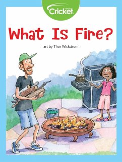What Is Fire? (eBook, PDF) Cover What Is Fire? (eBook, PDF)