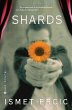 Shards (eBook, ePUB) - Bild 1