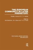 The European Community in Later Prehistory (eBook, ePUB)