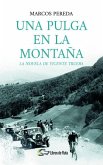 Una pulga en la montaña : la novela de Vicente Trueba