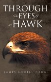Through The Eyes Of A Hawk