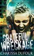 Grateful Wreckage (The Void Series, #6)... - Bild 1