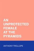 An Unprotected Female at the Pyramids (eBook, ePUB)