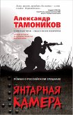 Янтарная камера (eBook, ePUB)