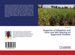 Response of Ethephon and Intra row Sett Spacing on Sugarcane Varieties - Yesuf, Endris