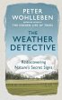 The Weather Detective - Bild 1