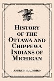 History of the Ottawa and Chippewa Indians of Michigan (eBook, ePUB)
