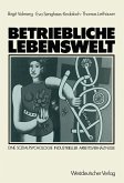 Betriebliche Lebenswelt (eBook, PDF)