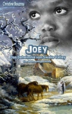 Joey-Das Geheimnis von Swake Valley - Bouzrou, Christine