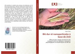 Blé dur et nanoparticules à base de ZnO - Chiahi, Nadia