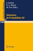 Seminaire de Probabilites XXV (eBook, PDF)