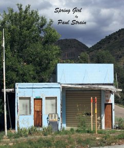 Cover Spring Girl (eBook, ePUB)