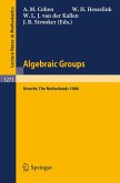 Algebraic Groups. Utrecht 1986 (eBook, PDF)