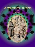 A Wanderer in Paris (eBook, ePUB)
