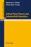 Critical Point Theory and Submanifold Geometry (eBook, PDF)