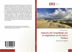 Impacts de l¿orpaillage sur la végétation et les sols à Perkoa - Augustin, Yameogo