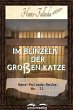 Im Blinzeln der großen Katze (eBook,... - Bild 1