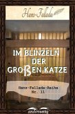 Im Blinzeln der großen Katze (eBook, ePUB)