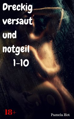 Dreckig, versaut und notgeil 1-10 (eBook, ePUB) - Hot, Pamela