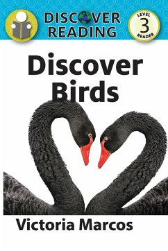 Discover Birds - Marcos, Victoria