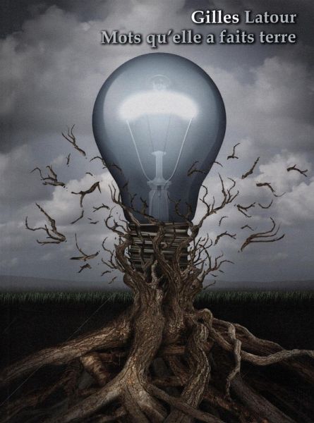 Mots qu'elle a fait terre (eBook, PDF) Mots qu'elle a fait terre (eBook, PDF)