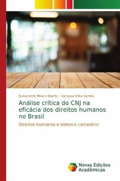 Análise crítica do CNJ na eficácia dos direitos humanos no Brasil