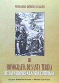 Iconografía de Santa Teresa : de las visiones a la vida cotidiana