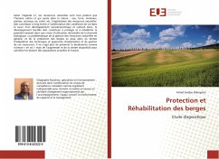 Protection et Réhabilitation des berges - Bakayoko, Armel Saidou