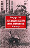 Developing Countries in the International Economy (eBook, PDF)