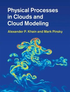 Physical Processes in Clouds and Cloud Modeling (eBook, PDF) - Khain, Alexander P.