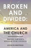 Broken and Divided: America and the Church (eBook, ePUB)