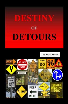Destiny of Detours (eBook, ePUB) - Allison, Amy L.