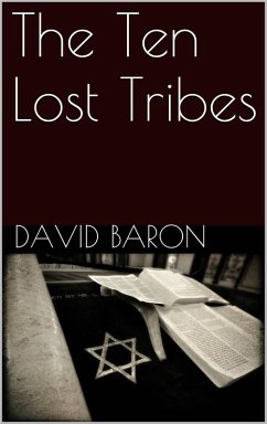 The Ten Lost Tribes (eBook, ePUB) - Baron, David