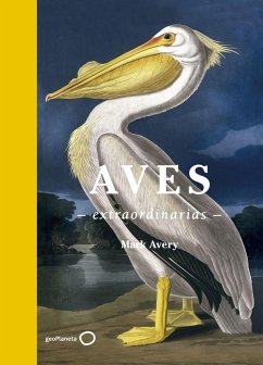 Aves extraordinarias - Avery, Mark