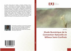 Etude Numérique de la Convection Naturelle en Milieux Semi-Confinés - Nasri, Zied