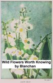 Wild Flowers Worth Knowing (eBook, ePUB)