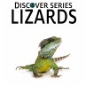 Lizards - Bild 1