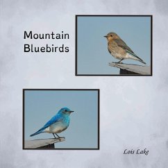 Mountain Bluebirds - Lake, Lois