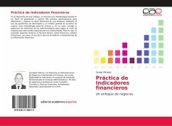 Práctica de Indicadores financieros - Méndez, Sergio