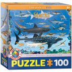Eurographics 6100-0079 - Haie , Puzzle, 100 Teile