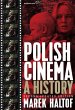 Polish Cinema (eBook, ePUB) - Bild 1