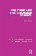 Culture and the Grammar School - Bild 1