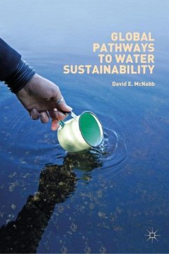 Global Pathways to Water Sustainability - McNabb, David E.