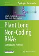 Plant Long Non-Coding RNAs - Bild 1