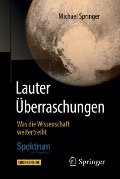 Lauter Überraschungen, m. 1 Buch, m. 1 E-Book - Springer, Michael