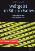 Weltgeist im Silicon Valley (eBook, ePUB)