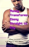 Money Transforms Ebony Straight to Gay (eBook, ePUB)