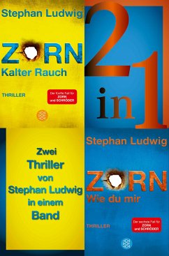 Kalter Rauch / Wie du mir - Zwei Zorn-Thriller in einem Band (eBook, ePUB) - Ludwig, Stephan