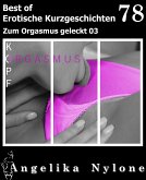 Erotische Kurzgeschichten - Best of 78 (eBook, ePUB)