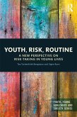 Youth, Risk, Routine (eBook, PDF)